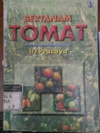 Image of Bertanam Tomat