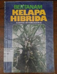 Image of Bertanam Kelapa Hibrida