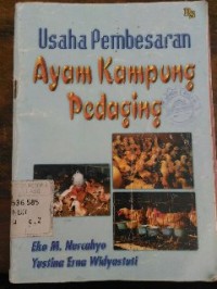 Image of Usaha Pembesaran Ayam Kampung Pedaging